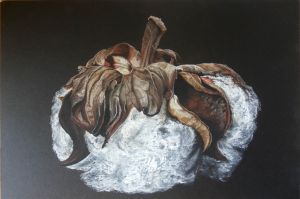 Katja Neumann   virtual art gallery Affeere