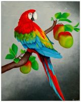 Roter Papagei 40x50 Kunstgalerie Affeere
