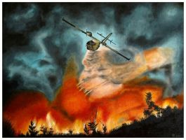 Feuerwehrflugzeug 80x60 Kunstgalerie Affeere