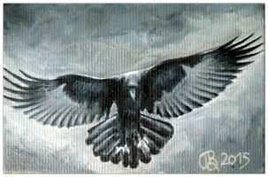 Fliegende Rabe 9x6 Kunstgalerie Affeere