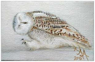 Laufende Eule 9x6 Kunstgalerie Affeere